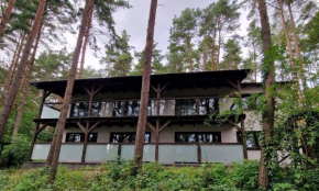 Apartament Sosny 2,1 nad jeziorem OTW Borówno Wielkie in Skarszewy